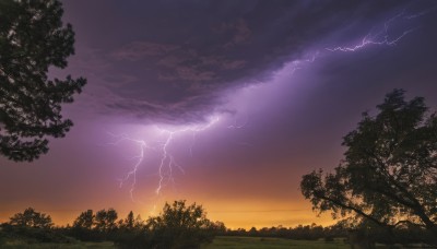 outdoors,sky,cloud,tree,no humans,cloudy sky,grass,nature,scenery,forest,sunset,electricity,power lines,lightning,gradient sky,purple sky,twilight,evening