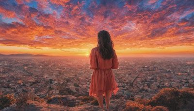 1girl, solo, long hair, skirt, shirt, black hair, standing, outdoors, sky, cloud, from behind, ocean, cloudy sky, scenery, sunset, horizon