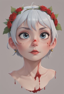 1girl,solo,looking at viewer,short hair,bangs,blue eyes,simple background,hair ornament,jewelry,collarbone,flower,white hair,grey hair,earrings,parted lips,hair flower,grey background,lips,grey eyes,eyelashes,blood,makeup,rose,looking up,lipstick,red flower,portrait,freckles,red rose,blood on face,red lips,cropped shoulders,white background,nude,hairband,leaf,thick eyebrows,nose,head wreath