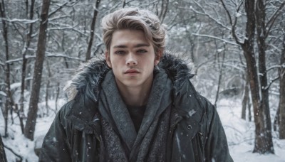 solo,looking at viewer,short hair,blonde hair,1boy,jacket,upper body,male focus,outdoors,parted lips,artist name,tree,lips,coat,black jacket,fur trim,watermark,nature,snow,forest,black coat,snowing,realistic,winter clothes,winter,bare tree,blue eyes,brown hair,open clothes,day,scarf,fur collar,open coat,fur-trimmed coat,winter coat