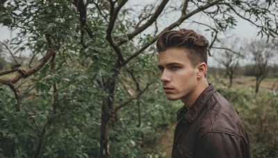 solo,looking at viewer,short hair,brown hair,shirt,1boy,jacket,upper body,male focus,outdoors,day,blurry,from side,tree,blurry background,facial hair,nature,brown jacket,realistic,stubble,leather,leather jacket,blue eyes,parted lips,collared shirt,looking to the side,leaf,portrait,forest,branch,undercut