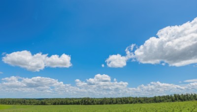 outdoors,sky,day,cloud,tree,blue sky,no humans,watermark,cloudy sky,grass,nature,scenery,forest,field,landscape,summer