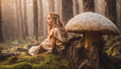 1girl,solo,long hair,blonde hair,brown hair,dress,brown eyes,sitting,outdoors,signature,white dress,blurry,from side,tree,lips,profile,depth of field,blurry background,grass,plant,nature,light particles,forest,rock,realistic,fantasy,looking afar,mushroom,moss,braid,lying,pointy ears,leaf