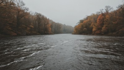 outdoors,sky,day,water,tree,no humans,nature,scenery,snow,forest,winter,bare tree,river,landscape,grey sky,cloud,signature,ocean,realistic,autumn,shore,overcast