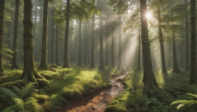 outdoors,day,water,tree,no humans,leaf,sunlight,grass,plant,nature,scenery,forest,light rays,rock,road,sunbeam,mushroom,path,moss,1girl,solo,long hair,river,landscape,stream