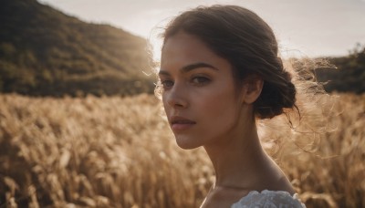 1girl,solo,looking at viewer,short hair,brown hair,black hair,brown eyes,closed mouth,collarbone,outdoors,day,hair bun,blurry,black eyes,lips,depth of field,blurry background,single hair bun,portrait,realistic,nose,field,upper body,parted lips,from side,sunlight,backlighting,wheat