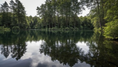 outdoors,sky,day,water,tree,no humans,nature,scenery,forest,reflection,river,lake,reflective water,cloud,cloudy sky,landscape