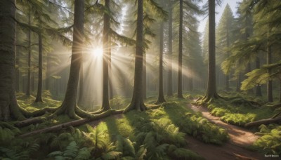 outdoors,day,artist name,signature,tree,no humans,leaf,watermark,sunlight,grass,plant,nature,scenery,forest,light rays,bush,sunbeam,sky,landscape