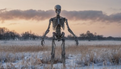 solo,looking at viewer,standing,outdoors,sky,cloud,tree,no humans,cloudy sky,robot,nature,scenery,snow,forest,skull,ribs,skeleton,bone,horror (theme),grass,science fiction,field,overcast