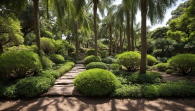 outdoors,sky,day,tree,no humans,shadow,sunlight,grass,plant,nature,scenery,forest,stairs,road,bush,dappled sunlight,path