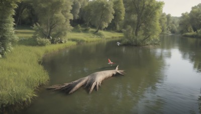 1girl,solo,outdoors,wings,day,water,cape,tree,bird,animal,grass,nature,scenery,forest,reflection,river,lake,no humans,plant,flying,rock,landscape