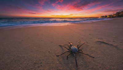 outdoors, sky, cloud, dutch angle, no humans, ocean, beach, scenery, sunset, sand, horizon, footprints