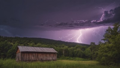 outdoors,sky,cloud,tree,no humans,night,cloudy sky,grass,building,nature,scenery,forest,mountain,electricity,house,lightning,landscape,purple sky,field