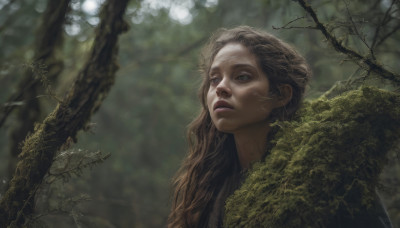 1girl, solo, long hair, brown hair, upper body, outdoors, blurry, tree, lips, depth of field, blurry background, nature, forest, realistic, nose, branch