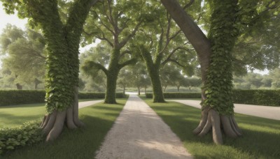 outdoors,day,tree,no humans,shadow,sunlight,grass,plant,building,nature,scenery,tentacles,forest,road,bush,path,sky,landscape