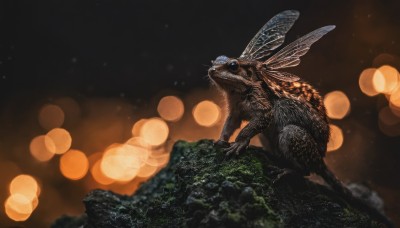 solo,blue eyes,outdoors,wings,blurry,from side,no humans,night,depth of field,animal,bug,monster,rock,realistic,antennae,bokeh,insect wings,kaijuu,claws,dark,animal focus