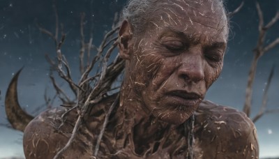 solo,short hair,1boy,closed mouth,closed eyes,upper body,white hair,male focus,outdoors,sky,dark skin,blurry,tree,blurry background,facial hair,portrait,facing viewer,snow,veins,snowing,realistic,old,bare tree,wrinkled skin,tail,grey hair,artist name,beard,mustache,branch,very short hair,monster boy