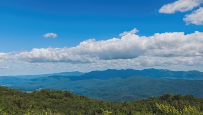 outdoors,sky,day,cloud,tree,blue sky,no humans,cloudy sky,grass,nature,scenery,forest,mountain,field,landscape,mountainous horizon,hill,signature,ocean,horizon