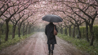 1girl, solo, holding, standing, outdoors, pants, bag, from behind, tree, coat, umbrella, grass, denim, cherry blossoms, scenery, walking, black coat, jeans, holding umbrella, road, street, path, transparent umbrella, spring (season)