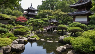 outdoors,sky,day,water,tree,no humans,grass,plant,building,nature,scenery,forest,reflection,rock,bush,architecture,bridge,east asian architecture,river,shrine,stone,pond,stone lantern,stream,landscape,moss