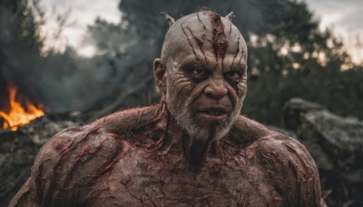 solo,looking at viewer,1boy,closed mouth,upper body,male focus,outdoors,blurry,black eyes,blood,muscular,blurry background,facial hair,scar,fire,nature,beard,veins,realistic,bald,manly,old,old man,dark skin,injury