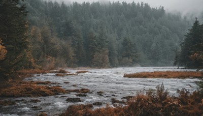 outdoors,sky,day,water,tree,no humans,nature,scenery,snow,forest,rock,mountain,river,landscape,fog,pine tree,cloud,realistic,winter,grey sky,overcast