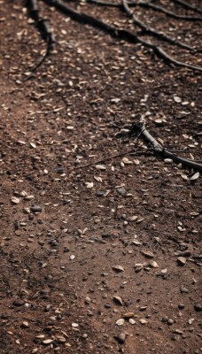 monochrome,outdoors,blurry,tree,no humans,depth of field,leaf,from above,traditional media,nature,scenery,branch,autumn leaves,autumn,falling leaves,brown theme,solo,lying,rock,on ground,photo background