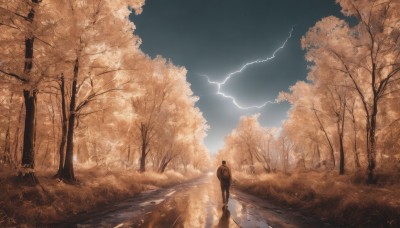 solo,1boy,standing,male focus,outdoors,sky,day,cloud,water,bag,from behind,tree,backpack,grass,nature,scenery,forest,reflection,walking,road,lightning,path,signature,cloudy sky,1other,ambiguous gender