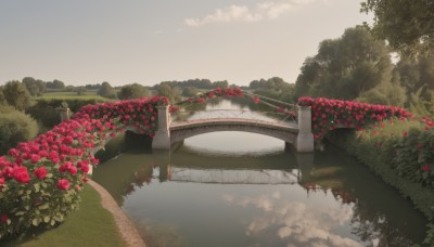 1girl,solo,flower,outdoors,sky,day,cloud,water,tree,no humans,rose,grass,plant,red flower,nature,scenery,forest,reflection,road,bush,bridge,river,landscape,bird,sunset,lake