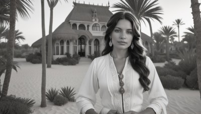 1girl,solo,long hair,looking at viewer,smile,shirt,long sleeves,jewelry,monochrome,upper body,greyscale,multicolored hair,earrings,outdoors,dark skin,water,necklace,two-tone hair,dark-skinned female,tree,lips,streaked hair,eyelashes,beach,building,hair over shoulder,realistic,palm tree,bush,house,dress,collarbone,plant