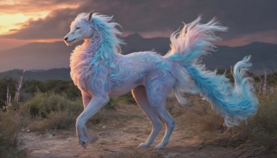 solo,standing,tail,full body,yellow eyes,outdoors,sky,cloud,signature,from side,pokemon (creature),no humans,cloudy sky,grass,sunset,realistic,twilight,wolf,mountain