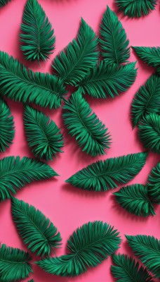 no humans,shadow,leaf,from above,pink background,plant,green theme,simple background,signature,watermark