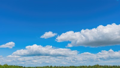 outdoors,sky,day,cloud,tree,blue sky,no humans,cloudy sky,grass,nature,scenery,forest,blue theme