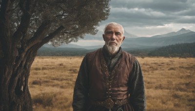 solo,looking at viewer,shirt,long sleeves,1boy,standing,upper body,white hair,male focus,outdoors,sky,day,belt,cloud,vest,tree,facial hair,cloudy sky,nature,scenery,beard,mountain,realistic,bald,field,old,old man,closed mouth,blue sky,facing viewer,landscape,mountainous horizon,chainmail