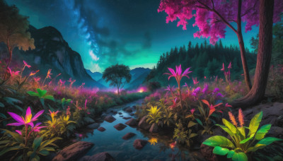 flower, outdoors, sky, water, tree, no humans, night, grass, plant, star (sky), nature, night sky, scenery, starry sky, rock, mountain