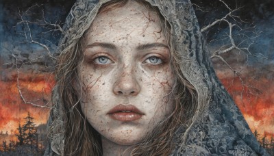 1girl,solo,long hair,looking at viewer,blue eyes,blonde hair,brown hair,outdoors,parted lips,sky,tree,lips,grey eyes,fire,portrait,forest,freckles,realistic,bare tree,hood,eyelashes,blood,veil,close-up,blood on face