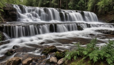 outdoors,day,water,tree,no humans,leaf,plant,nature,scenery,forest,rock,river,waterfall,fog,moss,stream,landscape