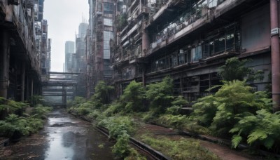 outdoors,sky,day,water,tree,no humans,window,plant,ground vehicle,building,scenery,reflection,city,road,cityscape,ruins,bridge,street,skyscraper,overgrown,real world location,cloud,railing,bush,power lines,lamppost,river,puddle