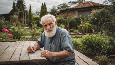 solo,looking at viewer,1boy,closed mouth,flower,white hair,short sleeves,male focus,outdoors,japanese clothes,sky,day,cloud,kimono,blurry,tree,facial hair,cloudy sky,plant,beard,realistic,mustache,bench,house,old,old man,arm hair,garden,wrinkled skin,smile,shirt,holding,striped,pants,signature,depth of field,blurry background,scar,blue shirt,drawing,pine tree