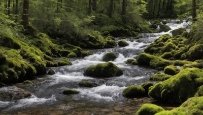 outdoors,day,water,tree,no humans,traditional media,nature,scenery,forest,rock,green theme,river,waterfall,moss,stream,landscape