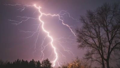 outdoors,sky,cloud,tree,no humans,night,cloudy sky,grass,nature,scenery,forest,electricity,bare tree,lightning