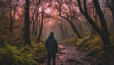 solo, 1boy, weapon, male focus, outdoors, hood, from behind, tree, hoodie, nature, scenery, forest