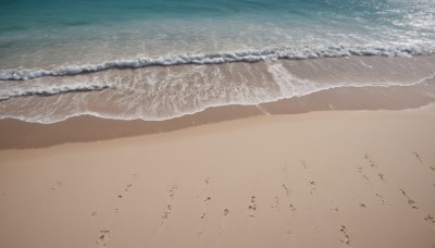 outdoors,day,water,no humans,ocean,beach,scenery,sand,waves,shore,footprints,monochrome