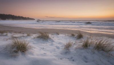 outdoors, sky, water, tree, no humans, ocean, beach, grass, nature, scenery, sunset, horizon, shore