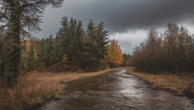 outdoors,sky,day,cloud,water,tree,no humans,cloudy sky,grass,nature,scenery,forest,road,river,landscape,path,realistic,bush