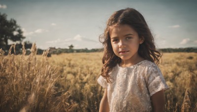 1girl,solo,long hair,looking at viewer,smile,brown hair,shirt,dress,brown eyes,white shirt,upper body,short sleeves,outdoors,parted lips,sky,day,cloud,signature,blurry,tree,lips,depth of field,blurry background,child,realistic,female child,field,jewelry,earrings,blue sky,sunlight,cloudy sky,wind,nature,scenery