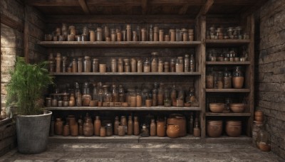 indoors,cup,no humans,bottle,plant,scenery,potted plant,brick wall,shelf,jar,bar (place),barrel,outdoors,day,tree,sunlight,wall,flower pot,stone wall