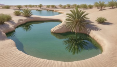 outdoors,sky,day,water,tree,blue sky,no humans,shadow,ocean,beach,nature,scenery,reflection,sand,palm tree,shore,grass,plant,rock,lake,desert,island