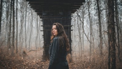 1girl,solo,long hair,looking at viewer,blue eyes,brown hair,long sleeves,brown eyes,jewelry,jacket,outdoors,glasses,looking back,necklace,from behind,tree,lips,cross,nature,scenery,forest,realistic,architecture,bare tree,closed mouth,standing,from side