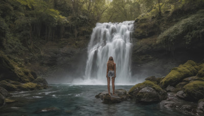 1girl, solo, long hair, brown hair, outdoors, shorts, water, from behind, tree, nature, scenery, wading, forest, river, waterfall